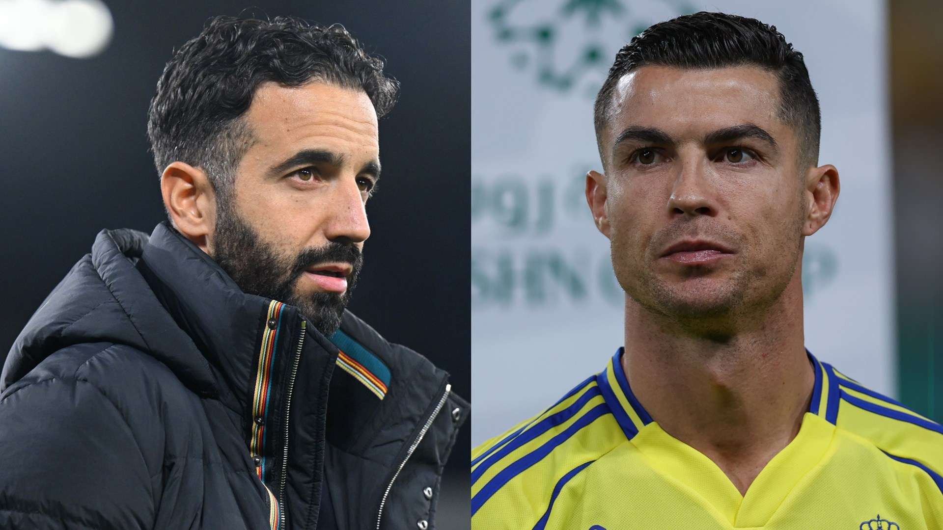 面对狼队这 面对狼队这