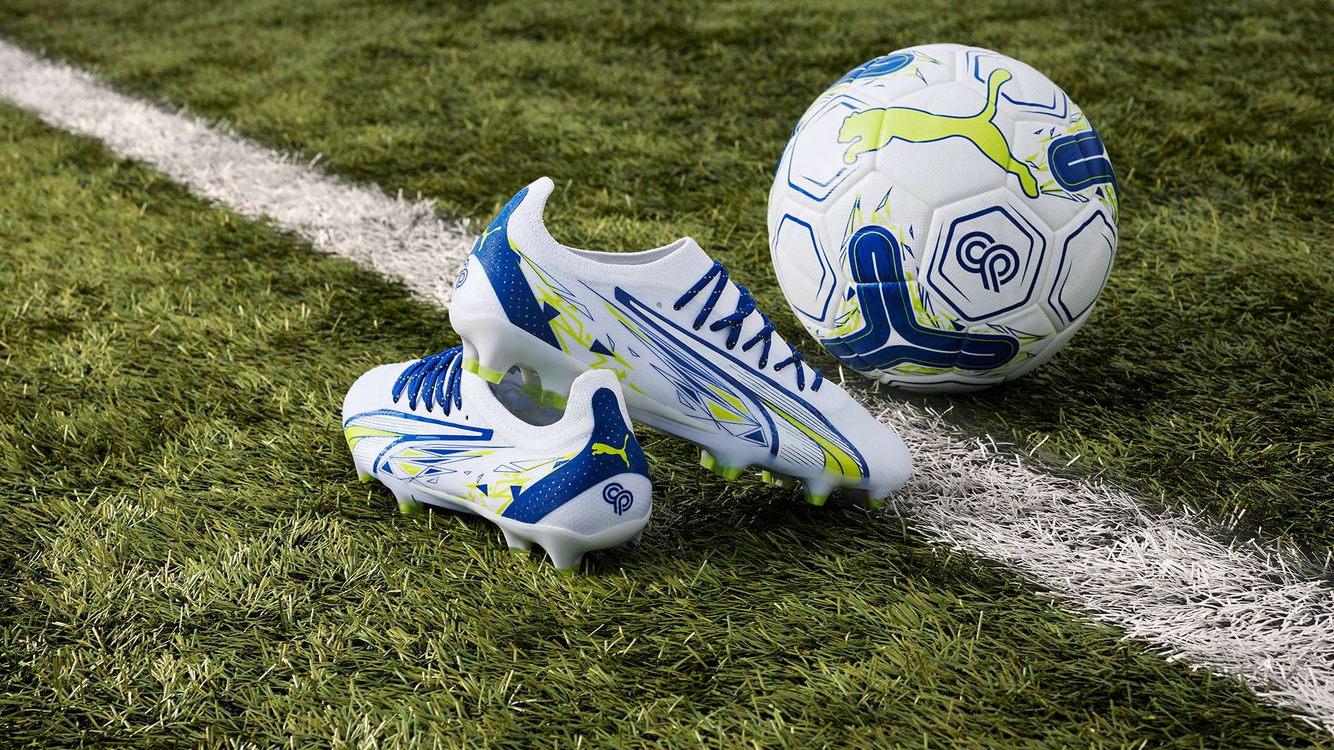 试图揭示足 试图揭示足