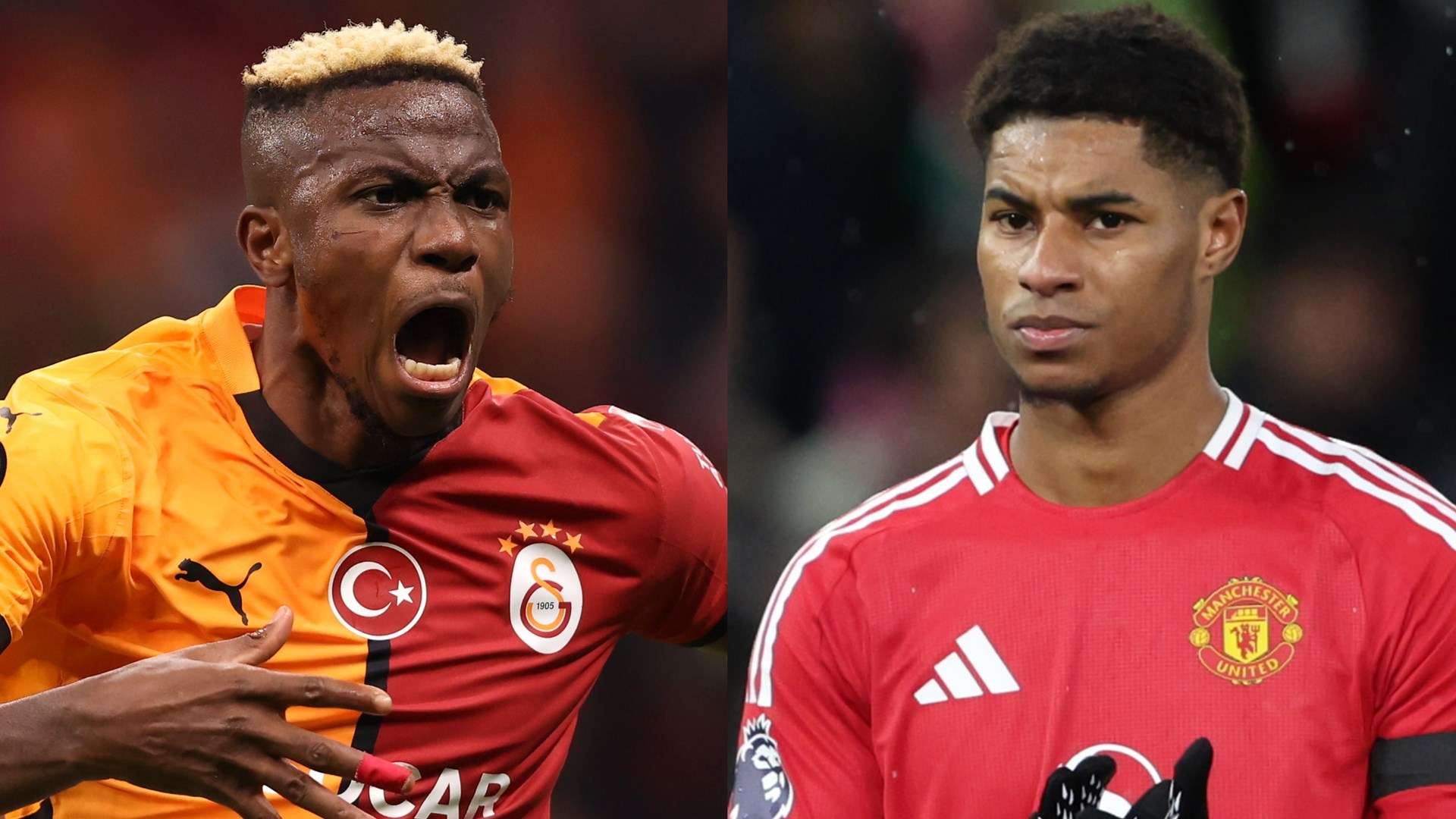 市的国际影 市的国际影