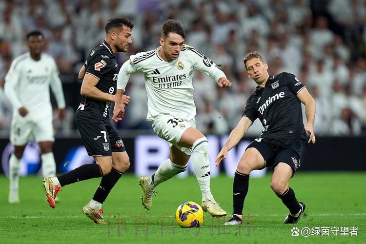 皇马绝对主力伤停两月 20人已倒下40次 齐祖要追责